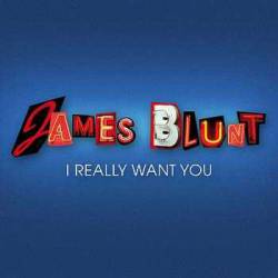 James Blunt : I Really Want You